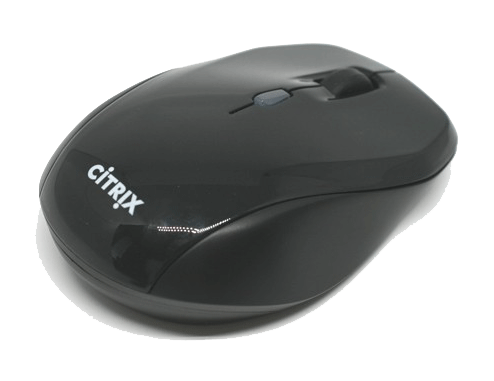 Souris Citrix 3013430-EZ